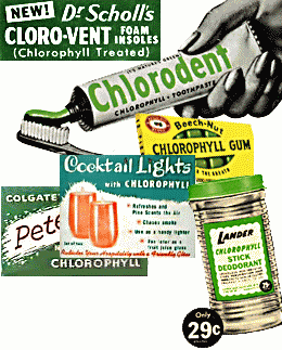 Chlorophyll - Fifties