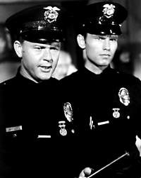 Adam 12