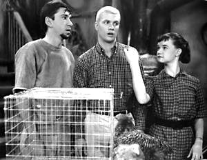 Dobie Gillis - Dwayne Hickman - Bob Denver