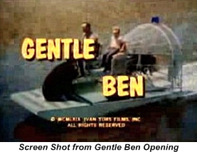 Dennis Weaver in Gentle Ben