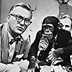 J Fred Muggs - Today show