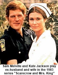 television police series from the 1970s