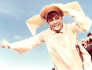 Flying Nun - Sally Field