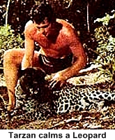 60s jungle show - Tarzan
